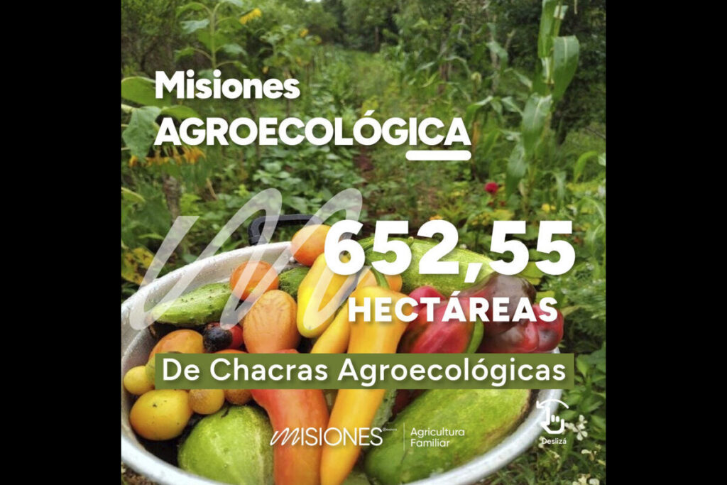 MISIONES IMPULSA EL FUTURO VERDE EN LA REGIÓN CON MÁS DE 650 HECTÁREAS DE CHACRAS AGROECOLÓGICAS