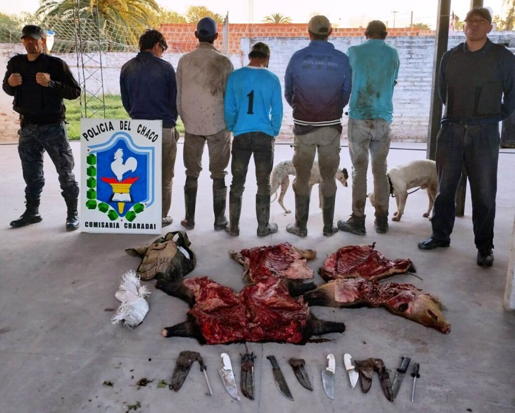 Personas detenidas en el interior de Chaco con animales faenados clandestinamente