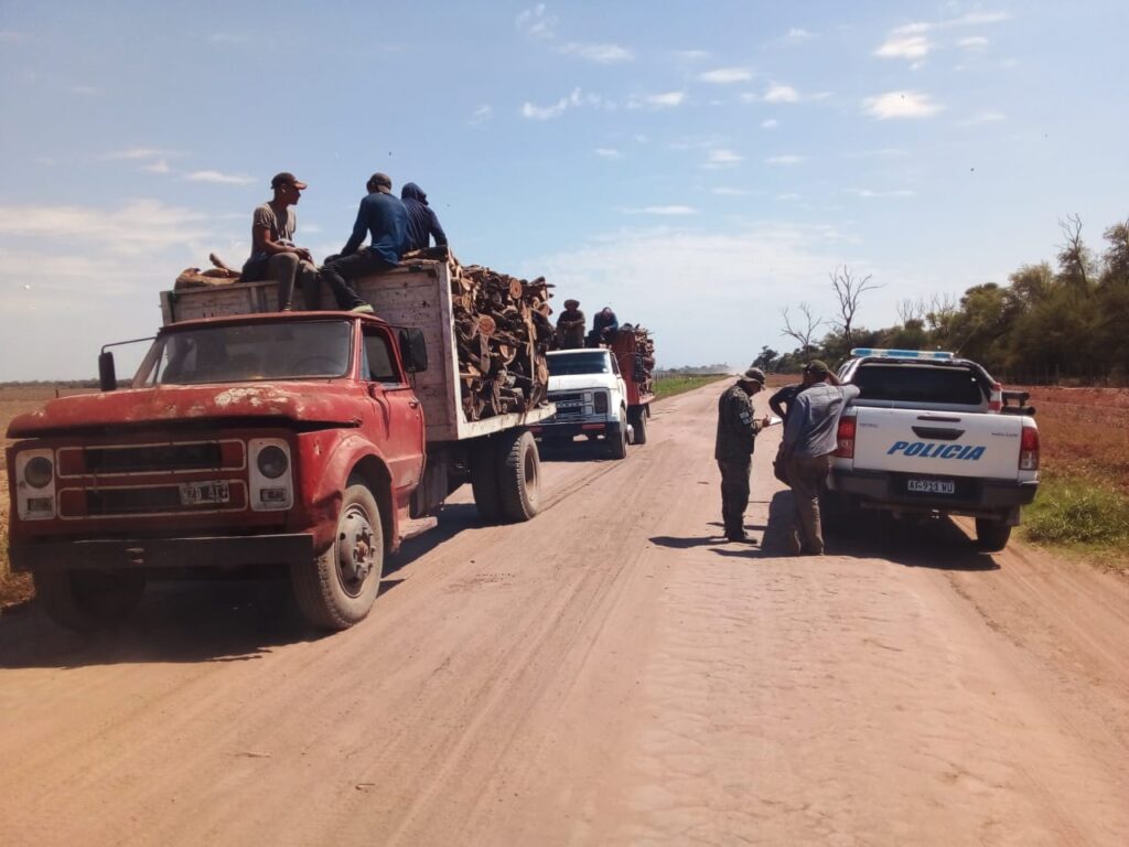 Policía de Chaco recupera ganado robado y logra frenar desmonte ilegal en varias localidades del interior provincial
