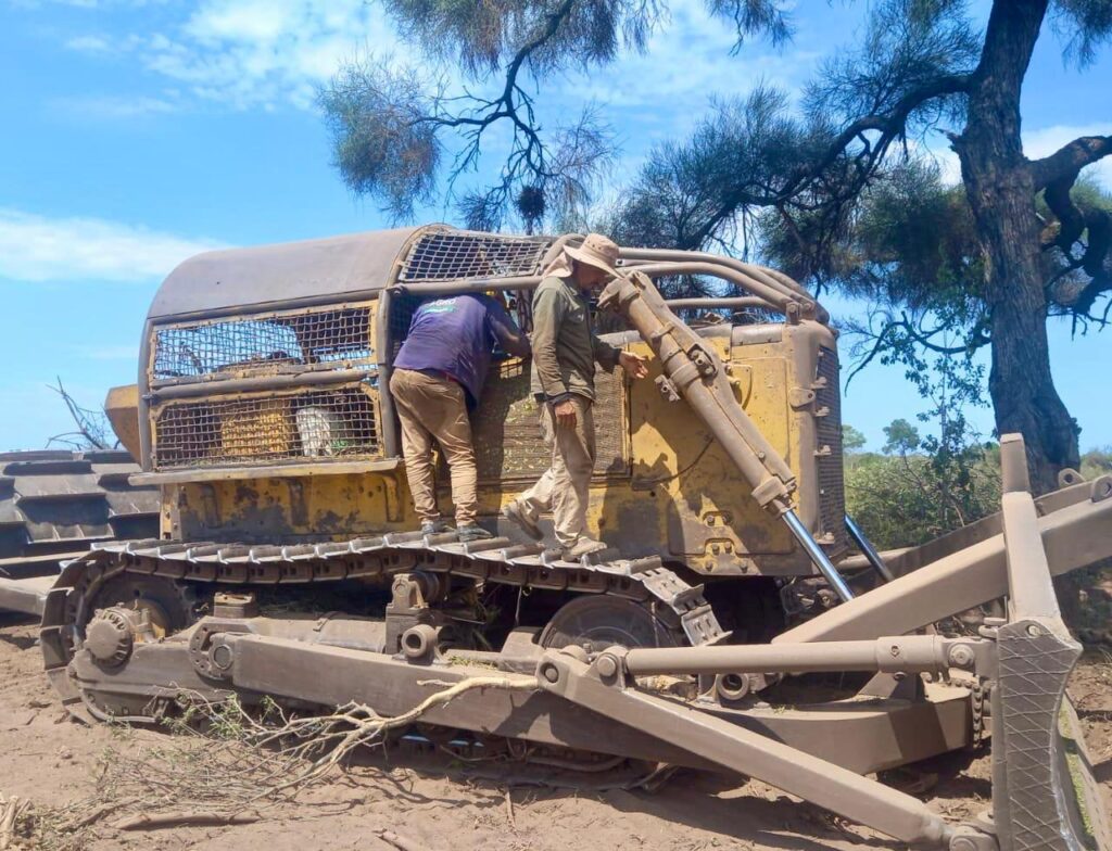 Detienen desmonte ilegal en el interior chaqueño