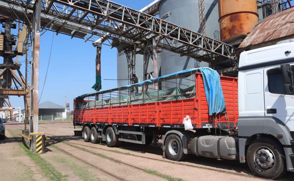Puerto de Barranqueras Concreta Nueva Operación Internacional de Exportación de Trigo a Bolivia