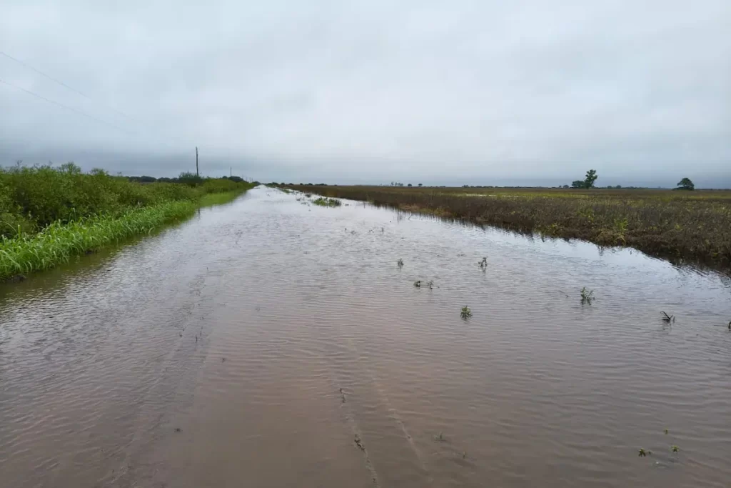 Desolación en el norte de Santa Fe: «El agua nos barrió el campo»