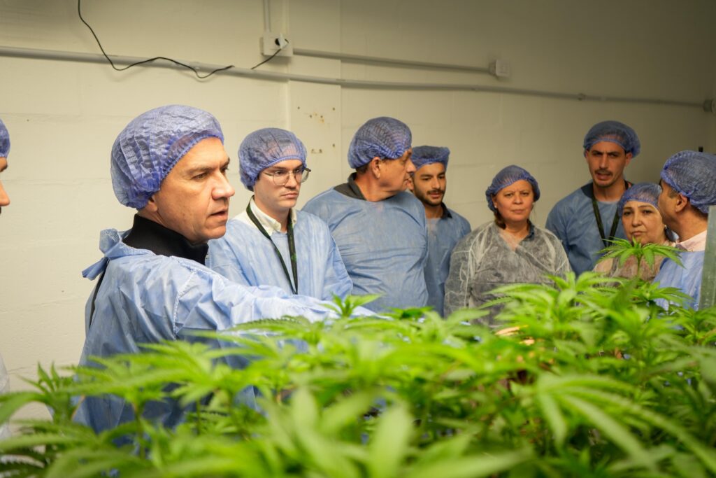 Histórico: la empresa chaqueña Cannafis exportará cannabis medicinal a Nueva Zelanda
