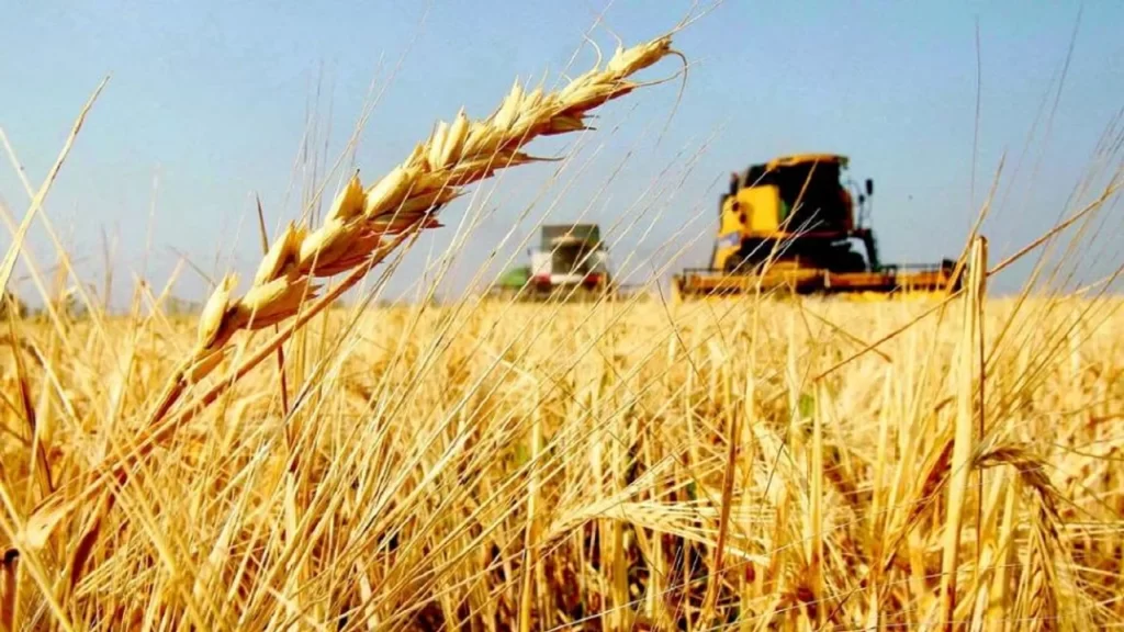Argentina incrementó 21,2% sus exportaciones a Brasil