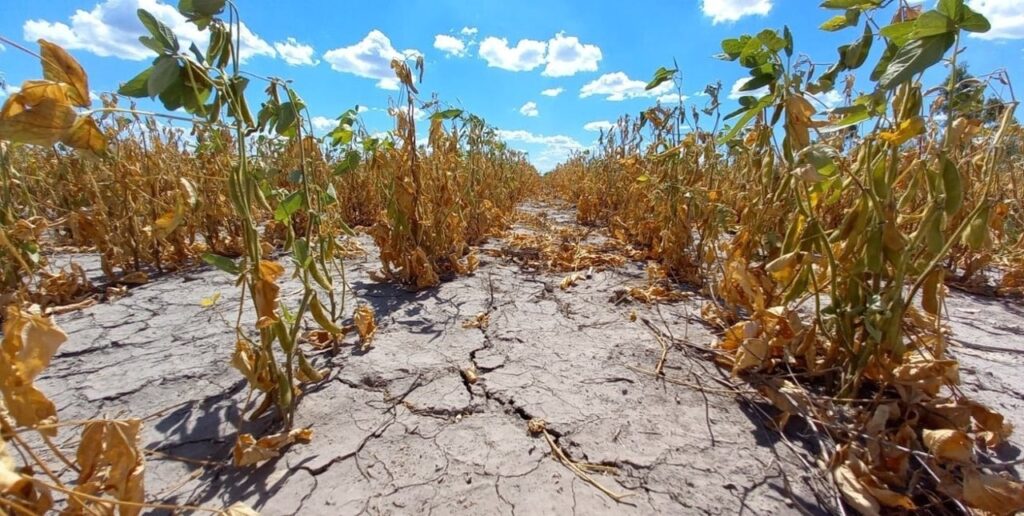 Economía declaró la emergencia agropecuaria en Chubut, Río Negro y departamentos de Mendoza