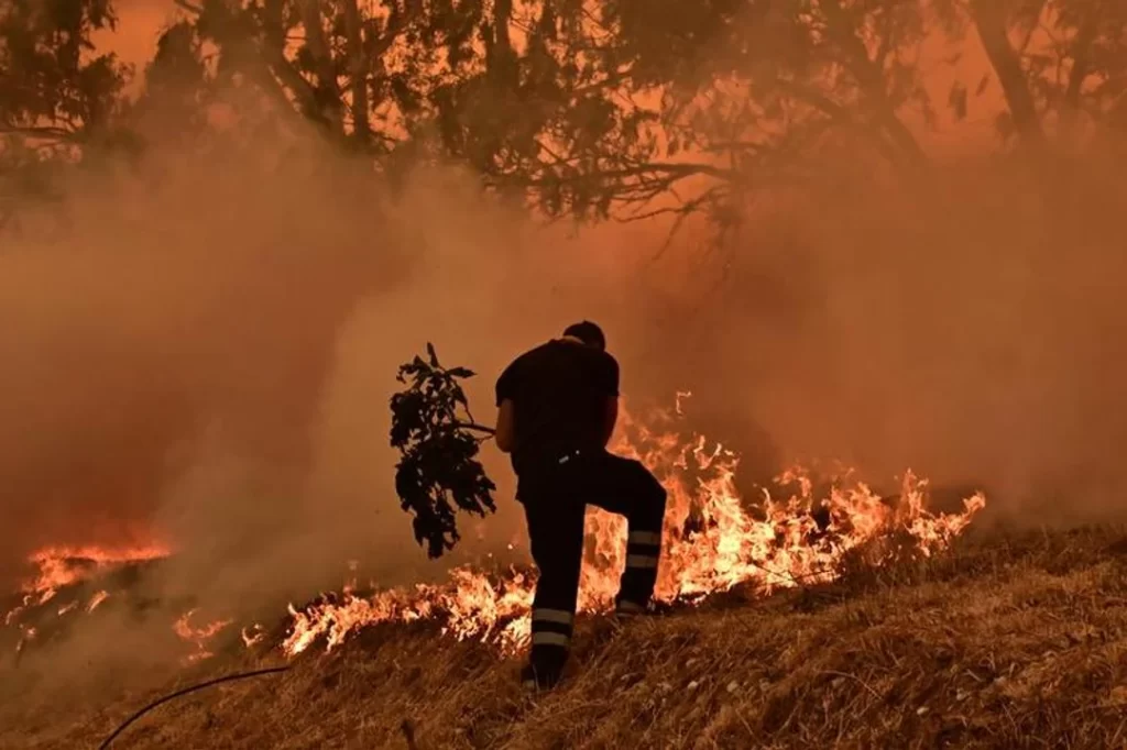 Incendios forestales devastaban miles de hectáreas en Florida