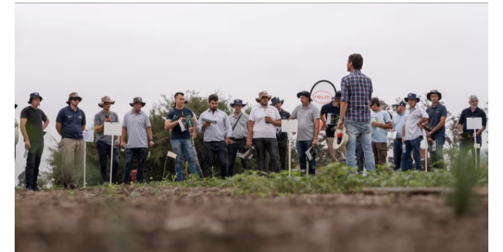 Adiós a la Argentina: una gigante alemana del agro deja el país tras dos décadas
