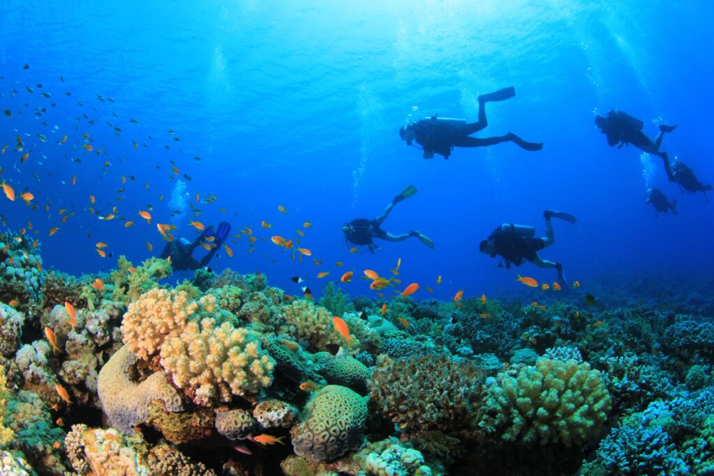 Qué pasó con los cinco italianos que murieron en Maldivas durante una excursión de buceo