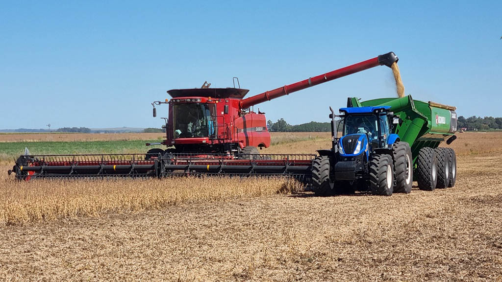 Agro: La cosecha de soja sorprende con rindes récord y la región núcleo proyecta una campaña histórica