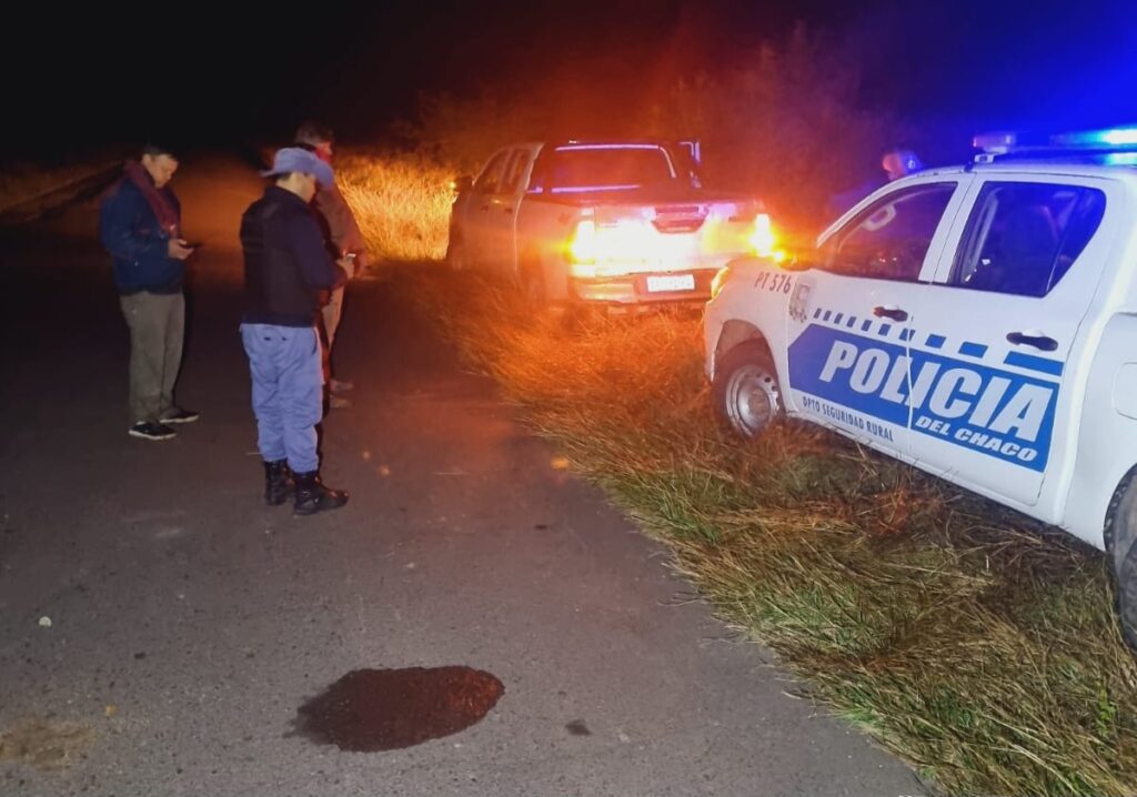 Villa Río Bermejito: secuestraron animales faenados y armas de fuego en un operativo rural