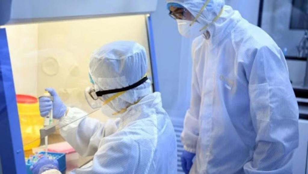 La OMS dice que el riesgo de la actual epidemia de ébola es “bajo” a nivel global