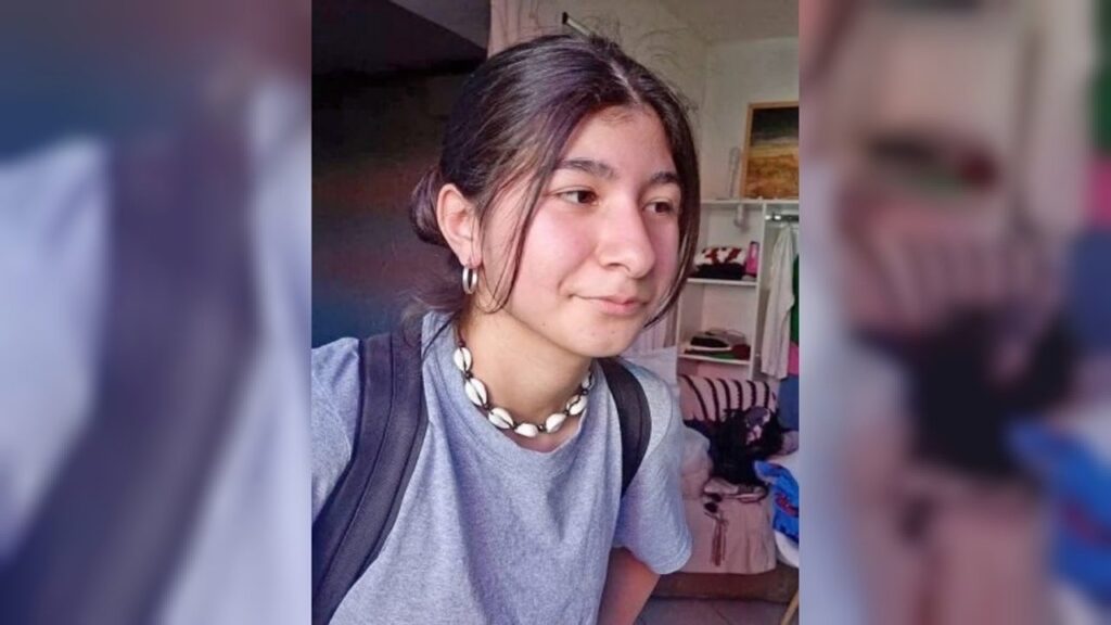 Búsqueda de Luciana Alarcón, en vivo: activaron el Alerta Sofía