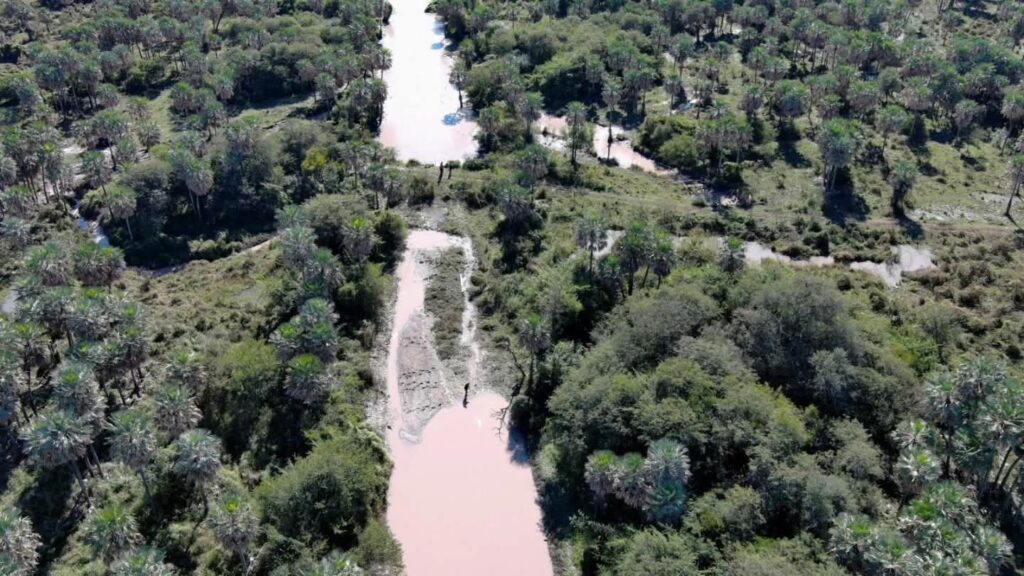 La APA detectó taponamientos ilegales en el canal Río Muerto-Las Colonias y realizó la denuncia judicial