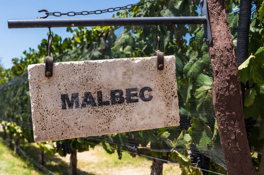 Un Malbec argentino destacado como uno de los mejores vinos del mundo