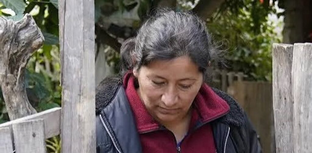 La fiscal del caso Loan apuntó contra Laudelina: supone que plantó una prueba