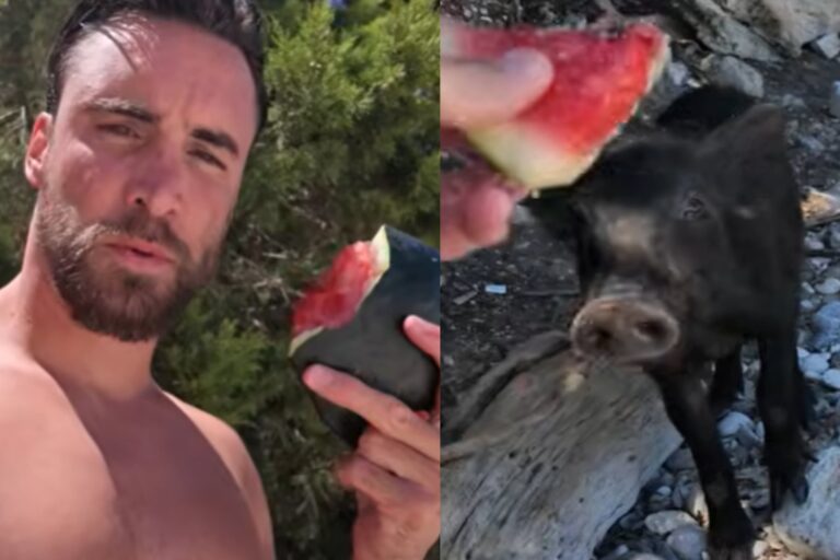 Nico Tagliafico vive una aventura inesperada con cerdos salvajes en Grecia