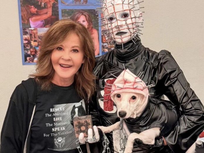 Allanamiento en la casa de Linda Blair: 200 perros hallados en su propiedad