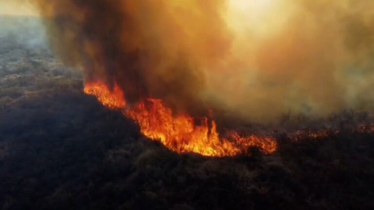 Detenido por Provocar Incendio Forestal al Tirar Brasas de un Asado