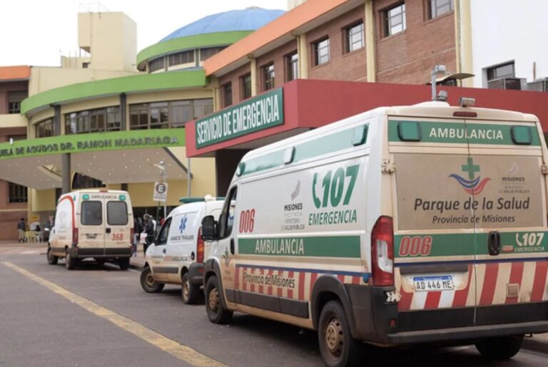 Una Jubilada Muere Tras Ser Atacada por un Perro en Misiones