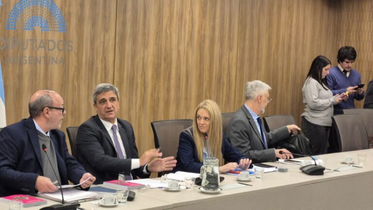 La Cámara de Diputados aprueba por unanimidad la ‘Ley Joaquín’ para mejorar la seguridad en deportes