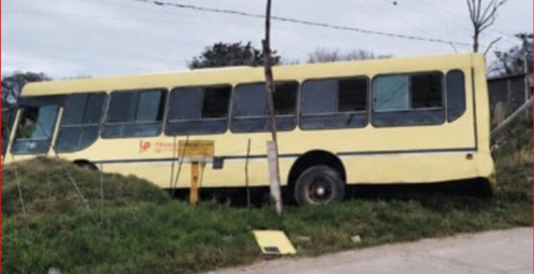 Horror en Tucumán: pasajero ataca a colectivero con un arma blanca
