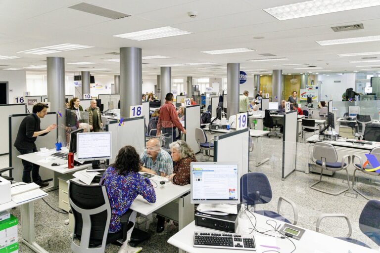 Radiografía del Empleo en Argentina: Habilidades y Desigualdades Regionales