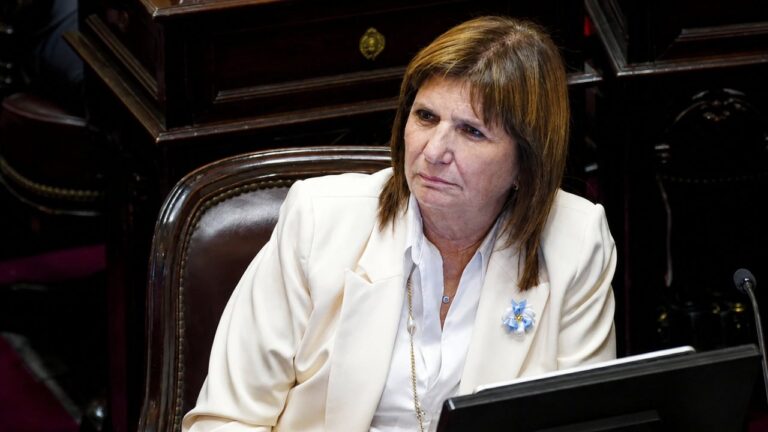 Bullrich Reconoce Dificultades en Sectores Clave y Reitera Apoyo a la Gestión de Milei