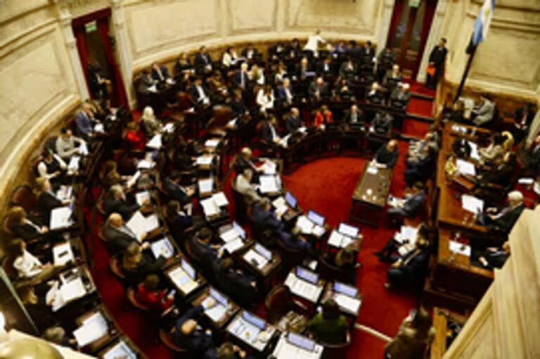 Gobernadores logran que la Casa Rosada retroceda en la extranjerización de tierras