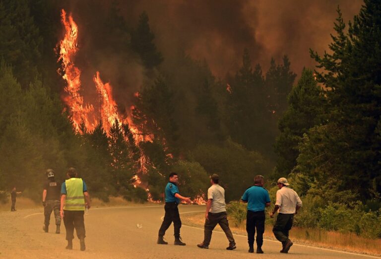 Día Mundial de la Prevención de Incendios Forestales: 5 Claves para Proteger Nuestros Bosques