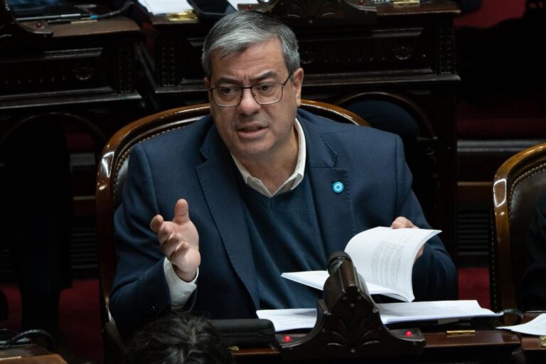 Tensión en el Congreso: Germán Martínez desafía a Martín Menem en plena votación
