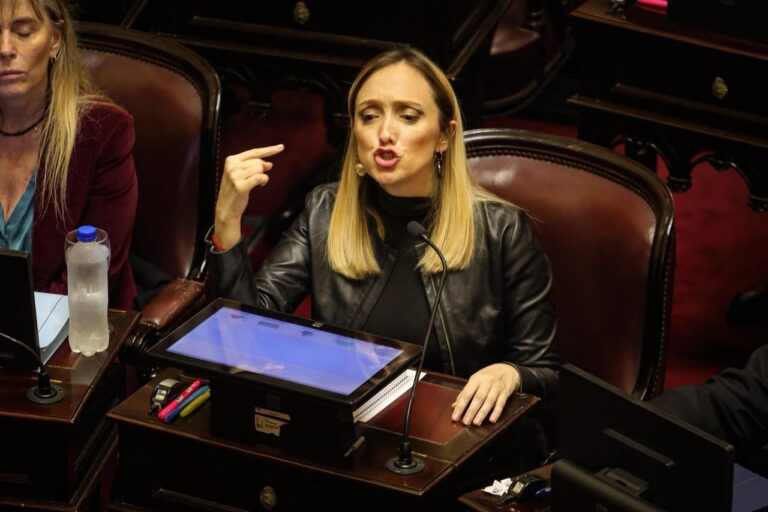 Senadora Fernández Sagasti Propone Voto Remoto para Embarazadas en el Senado