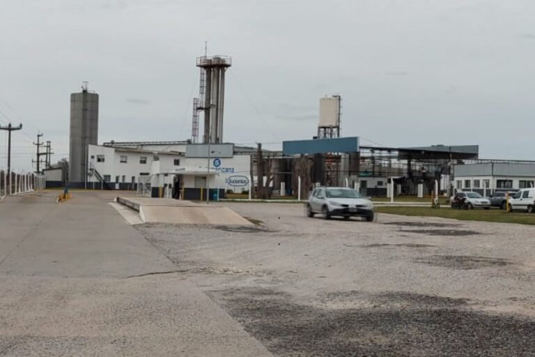 Sudamericana de Lácteos reanuda producción tras cambio de dueño: ¿qué implicaciones tiene para el sector?