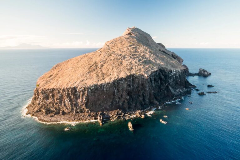 La increíble recuperación de la isla Redonda tras la erradicación de ratas y cabras
