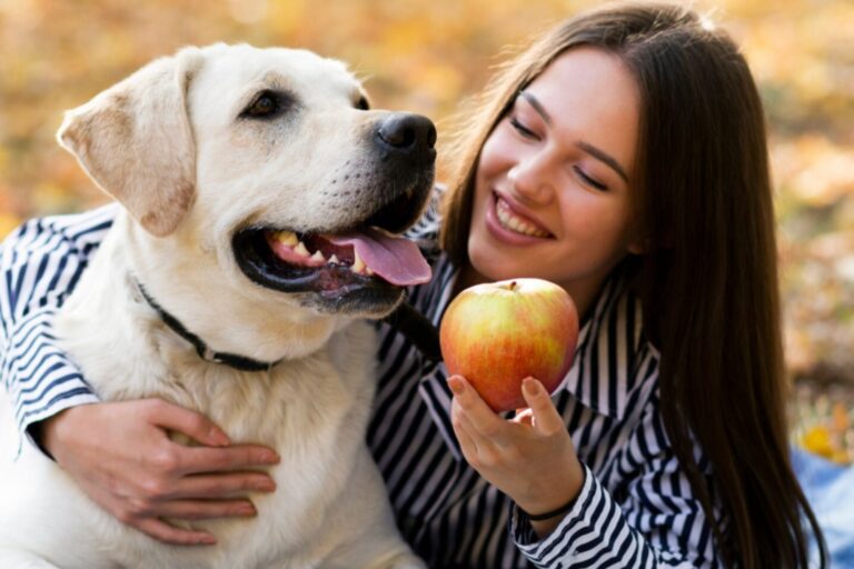 Las 5 Frutas Seguras para Compartir con Tu Perro Según Expertos