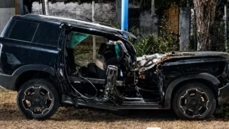 Crisis del Arbolado Público: Cinco Muertes y un Llamado a la Acción