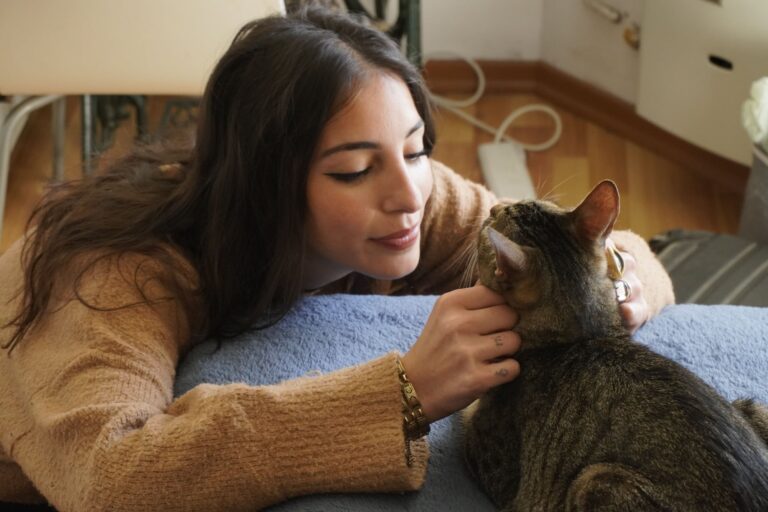 Descubre cómo los gatos eligen a su persona favorita y los secretos detrás de su vínculo