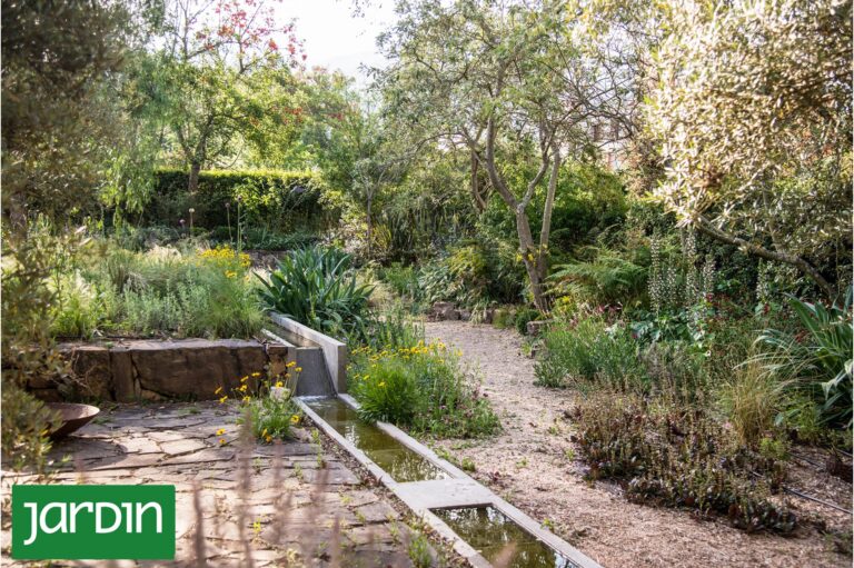 Jardines Esponja: La Innovadora Solución Verde para Combatir Inundaciones