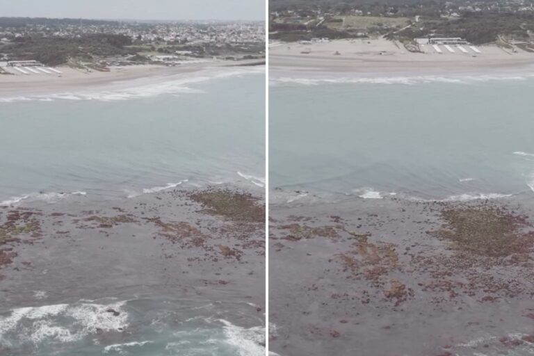 La sorprendente «isla» que apareció en la costa argentina: descubre su origen