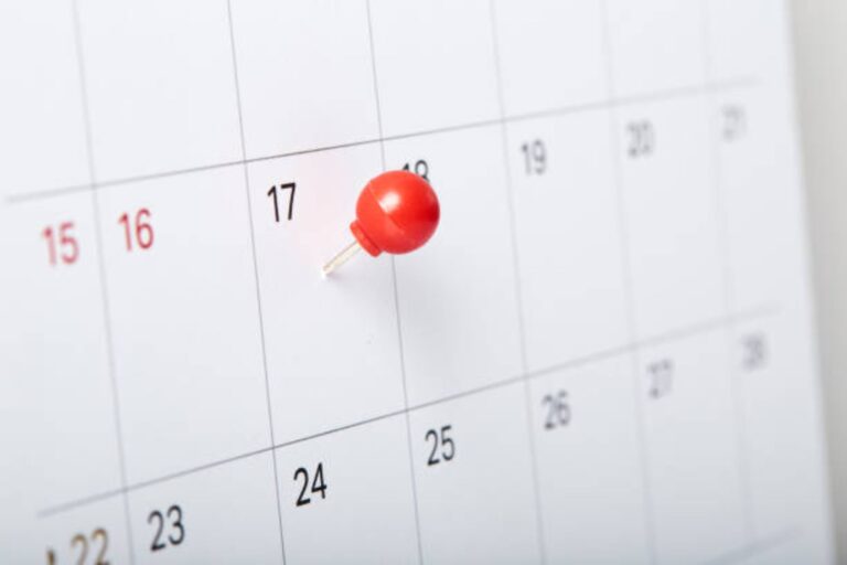 Efemérides del 25 de agosto: Una mirada a los eventos históricos y celebraciones del día