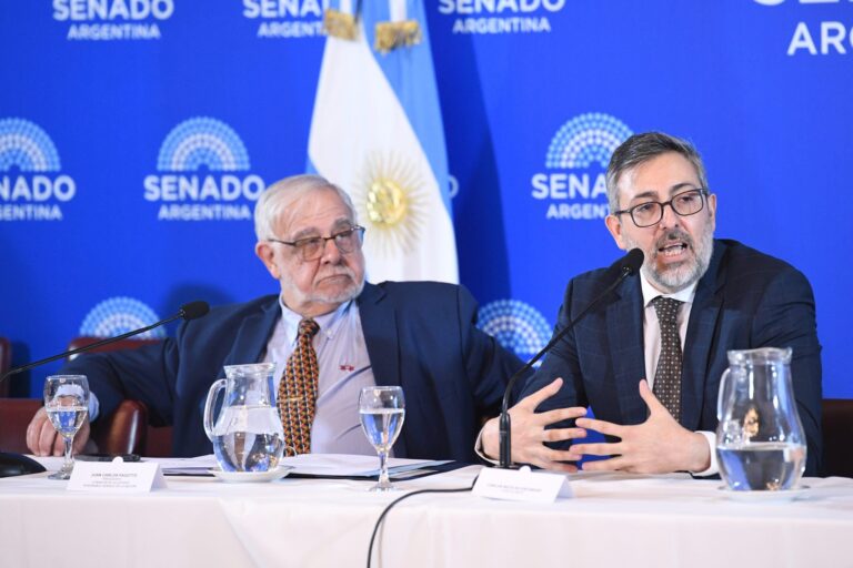 El Senado Debate Pliegos Judiciales en un Contexto Político Tenso
