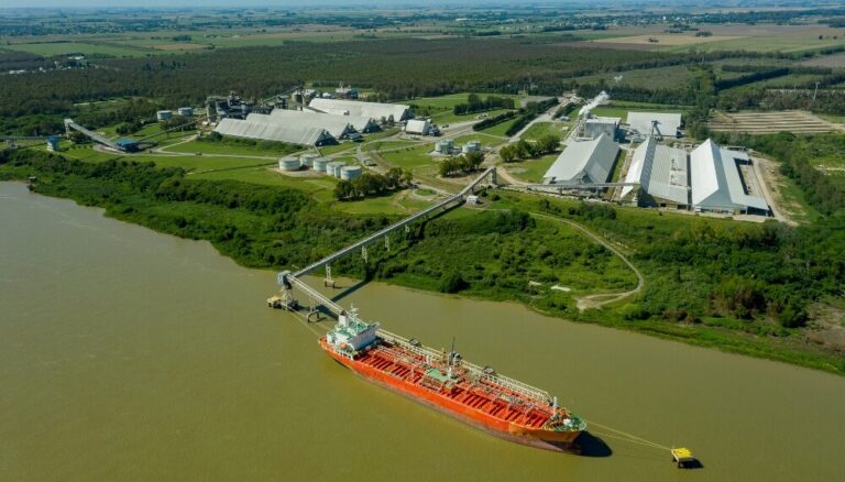 Crisis en los Puertos Argentinos: La Paralización del Comercio Exterior Aumenta la Preocupación
