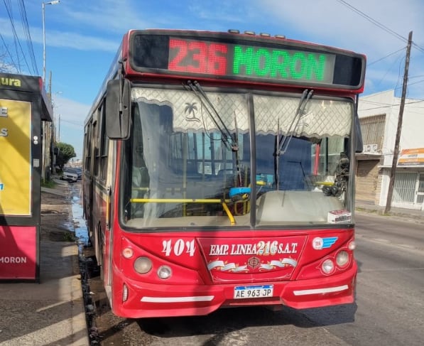 Un Hombre Roba un Colectivo, Oficia de Chofer y Termina Detenido tras Chocar
