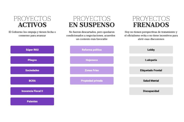 Las Reformas de Milei: Un Reto en el Congreso Argentino