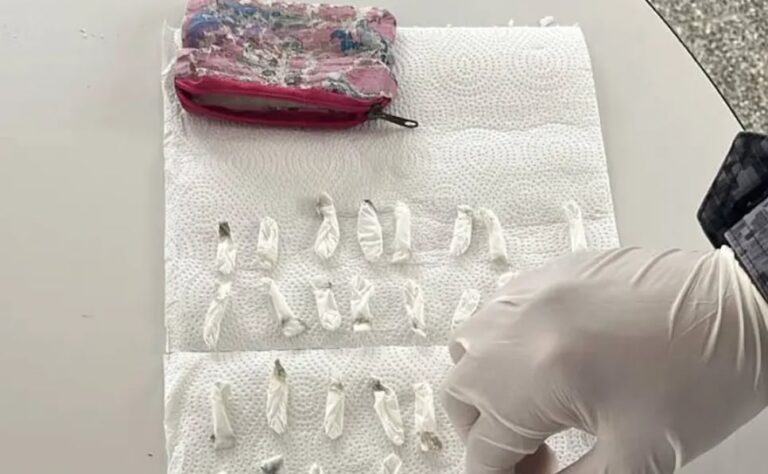 Detienen a madre tras hallazgo de cocaína en el jardín de su hijo
