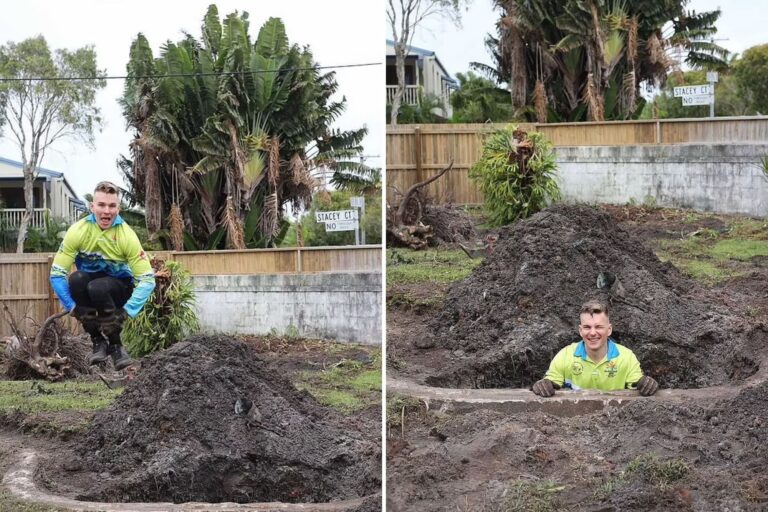 Descubren una piscina enterrada en su nueva casa: La sorprendente historia de un joven australiano