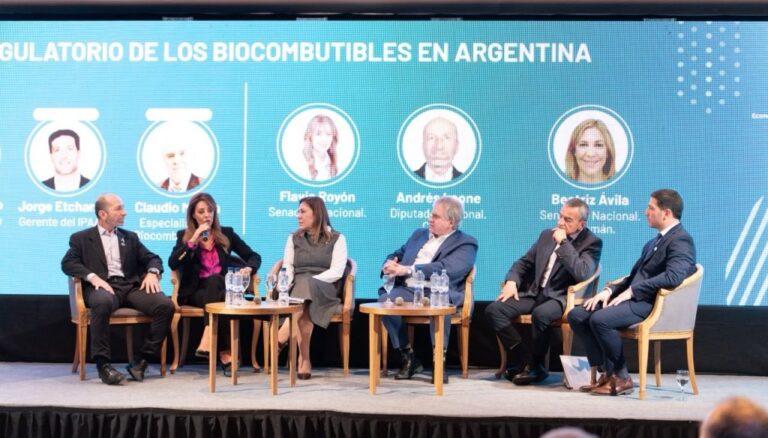 El Senado Argentino Avanza en la Reforma de la Ley de Biocombustibles