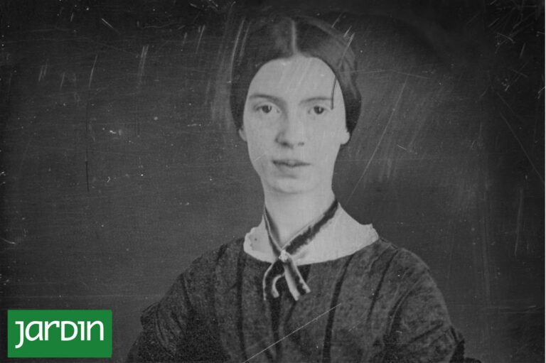 El Herbario de Emily Dickinson: Un Tesoro Botánico Accesible Tras 180 Años