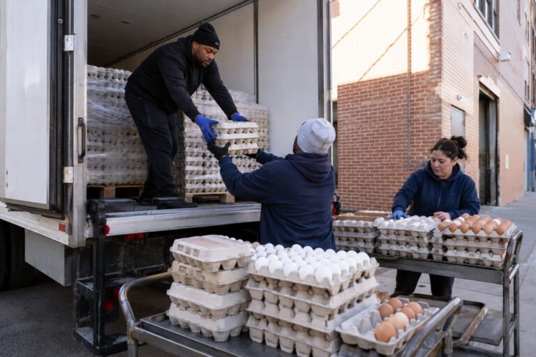 Casi cinco millones de huevos gratis para familias de Nueva York: ¿Cómo acceder a ellos?