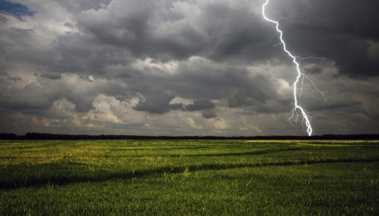 El Niño amenaza con ser el más intenso de la historia: alertas para el agro y la economía en América Latina