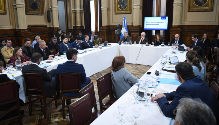 Biocombustibles: Urge voluntad política para avanzar en nueva ley